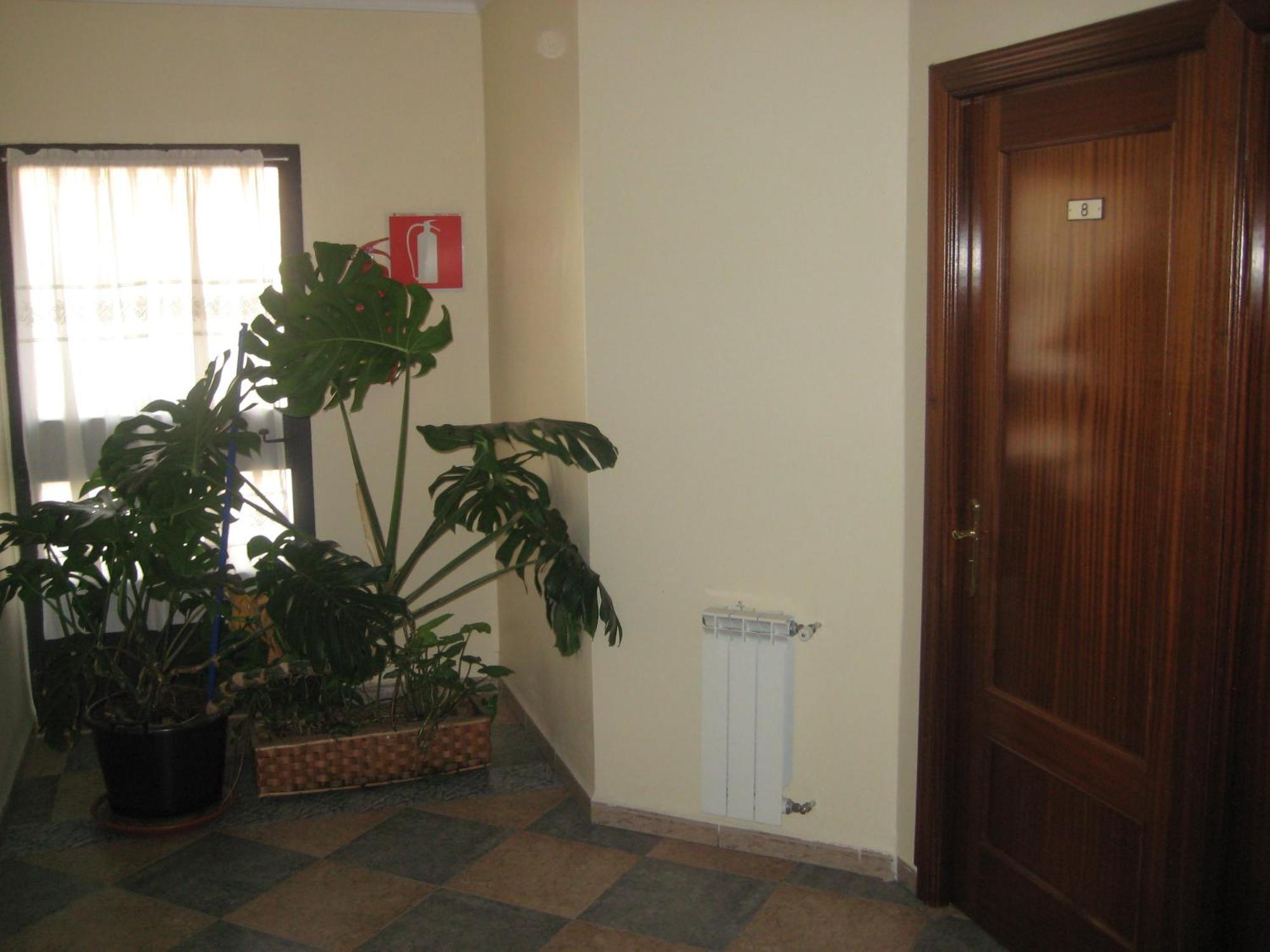 Hostal El Pinar Ávila المظهر الخارجي الصورة
