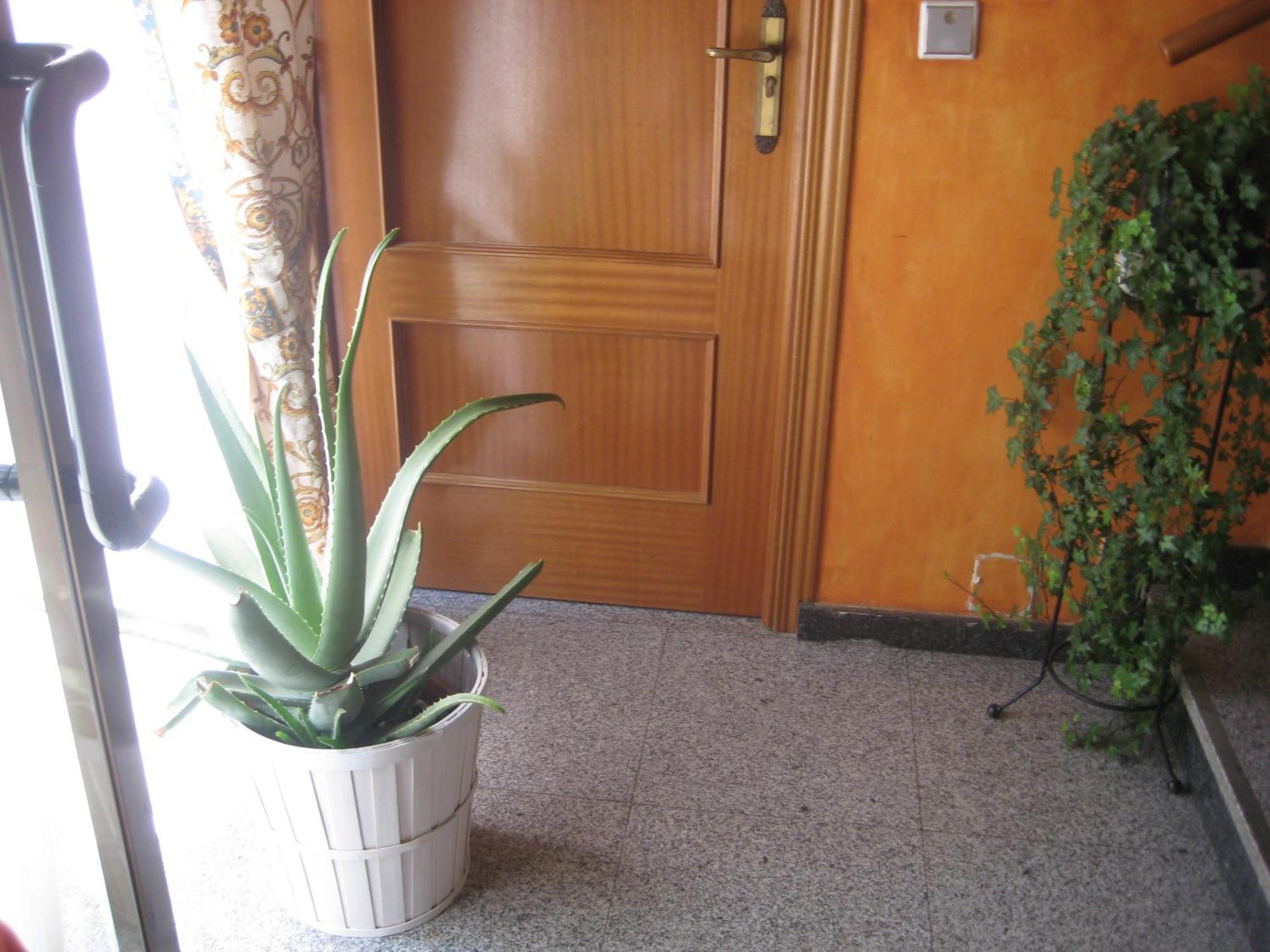 Hostal El Pinar Ávila المظهر الخارجي الصورة